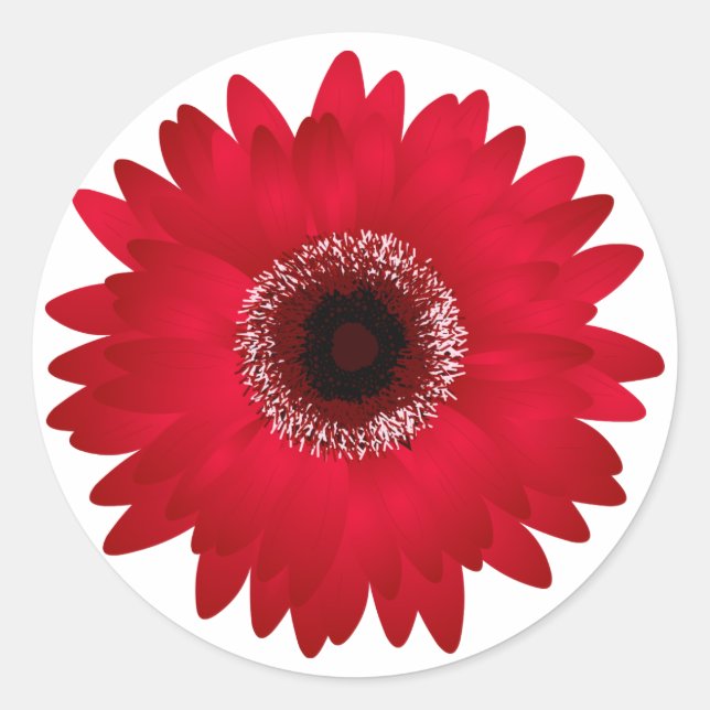 Sticker Rond Red Gerbera Daisy (Devant)