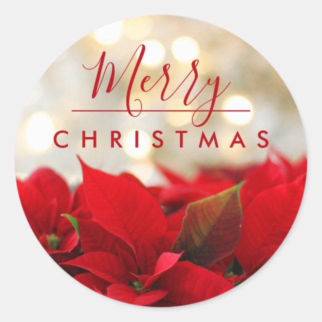 Sticker Rond Red Poinsettias Joyeux Noël Bokeh Lumières (Devant)