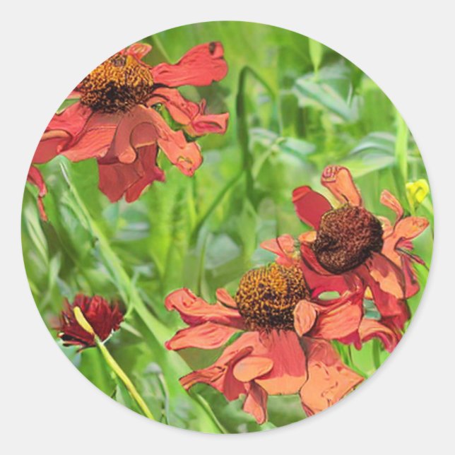 STICKER ROND RED RUDBECKIA FLOWERS (Devant)