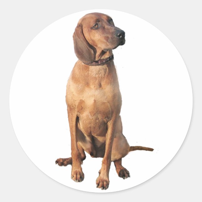 Sticker Rond Redbone Coon Hound (A) (Devant)