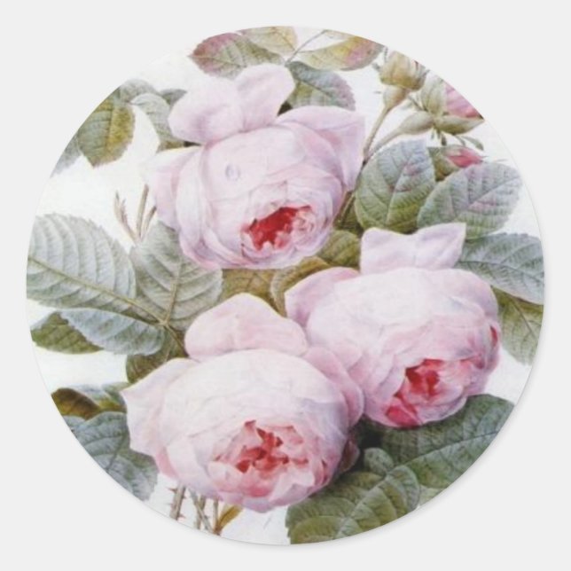 Sticker rond Redoute Rose Roses (Devant)