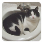 régal Amoureux des chats