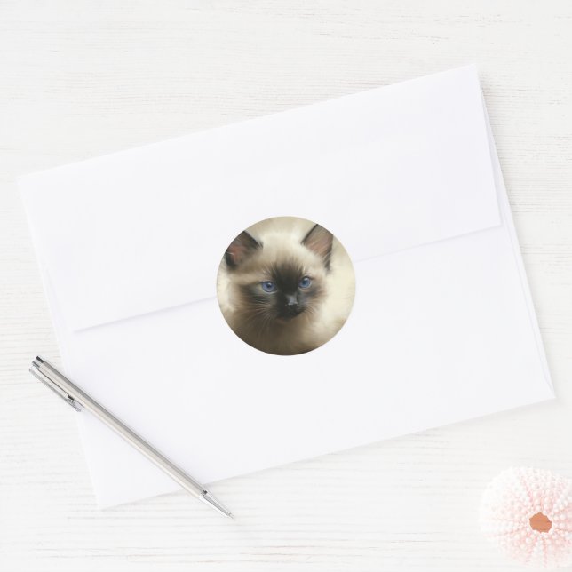 Sticker Rond Regard D'Innocence Siamese Kitten Portrait (Enveloppe)