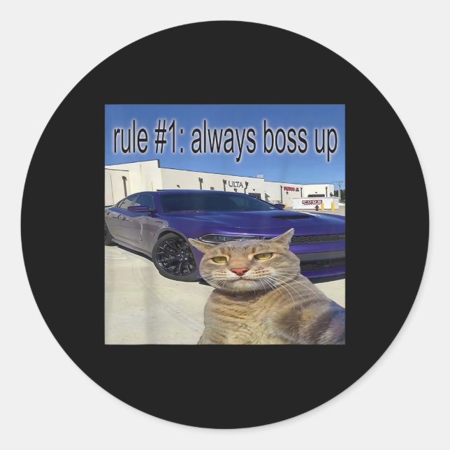Sticker Rond Règle 1 Toujours Bosser Drôle Chat Drôle Étrangeme (Devant)