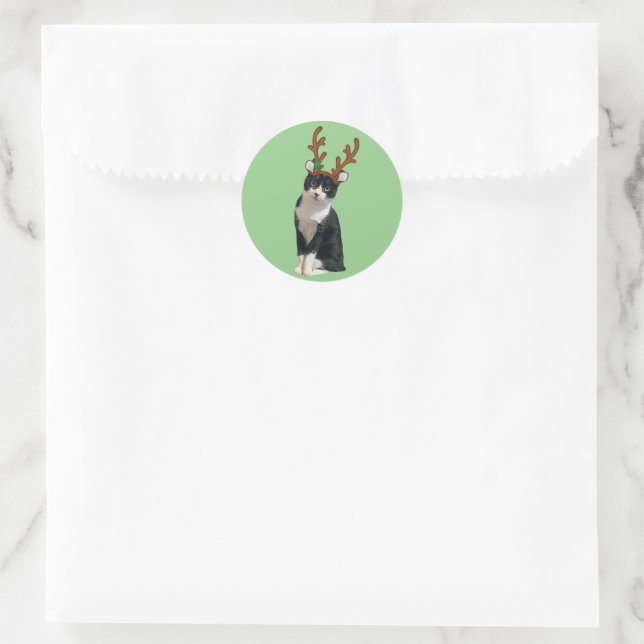 Sticker Rond Reindeer Calliope (Sac)