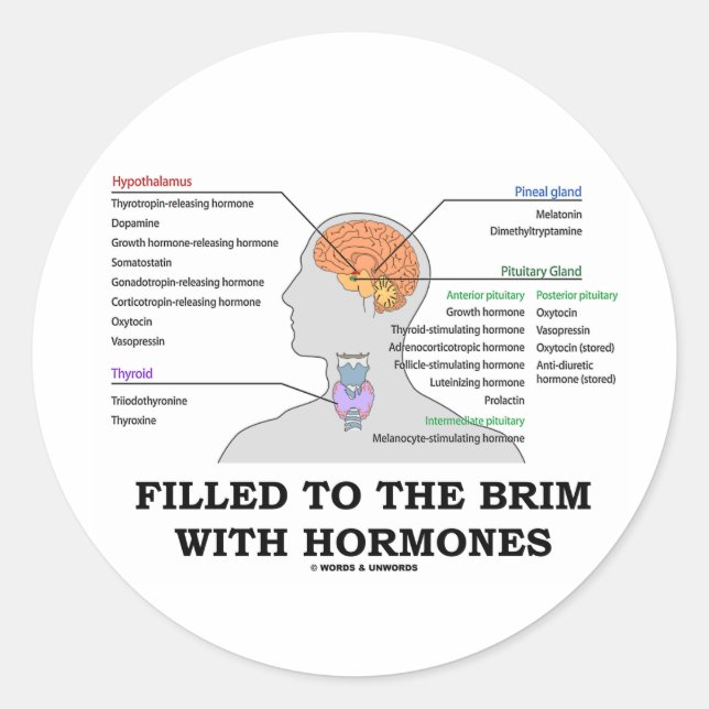 Sticker Rond Rempli Au Brim Avec Hormones (Anatomie) (Devant)