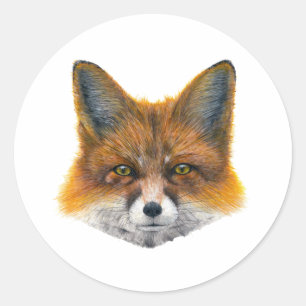 Sticker Rond Renard - Peinture en acrylique