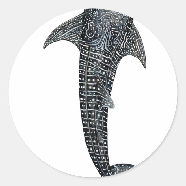 Sticker Rond Requin baleine (Devant)