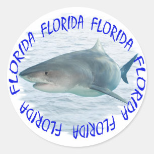 Sticker Rond Requin de la Floride