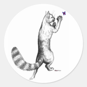 Sticker Rond Ressort de chat