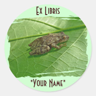 Sticker Rond Ressort Peeper (Pseudacris crucifer) Treefrog Item