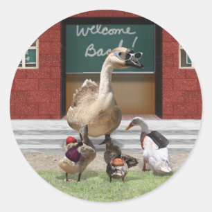 Sticker Rond Retour à l'école, petits canards !