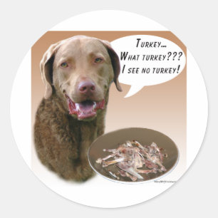 Sticker Rond Retriever de la baie de Chesapeake Turquie