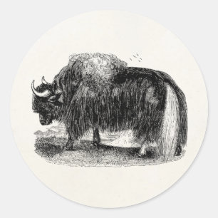Sticker Rond Rétro illustration d'animal de yaks de yaks