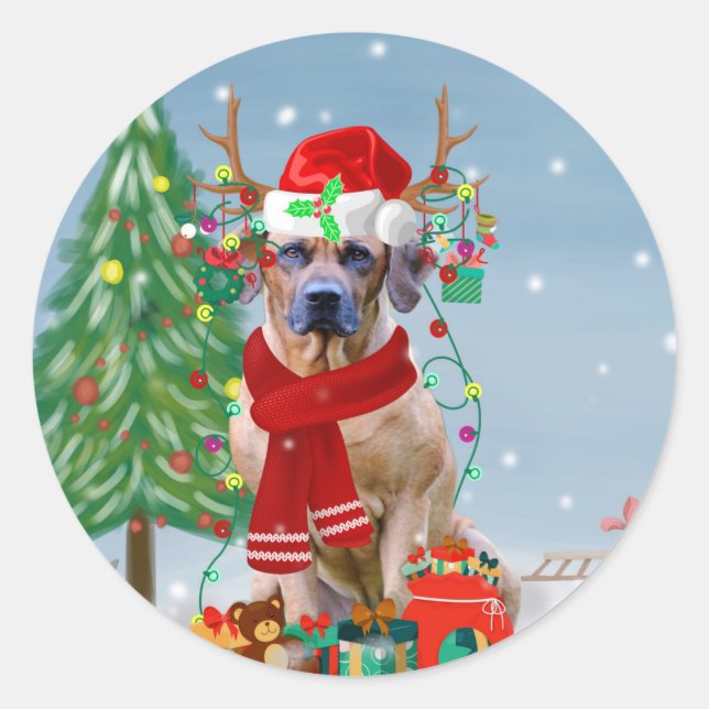 Sticker Rond Rhodesian Ridgeback Chien dans neige cadeau de Noë (Devant)