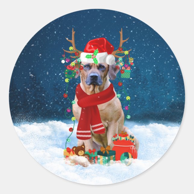Sticker Rond Rhodesian Ridgeback Chien dans neige cadeau de Noë (Devant)