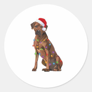 Sticker Rond Rhodesian Ridgeback Noël Lumières Noël Chien de No