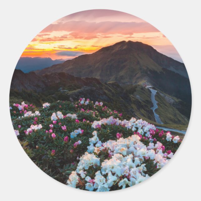 Sticker Rond Rhododendron florissant | Parc national de Taroko (Devant)