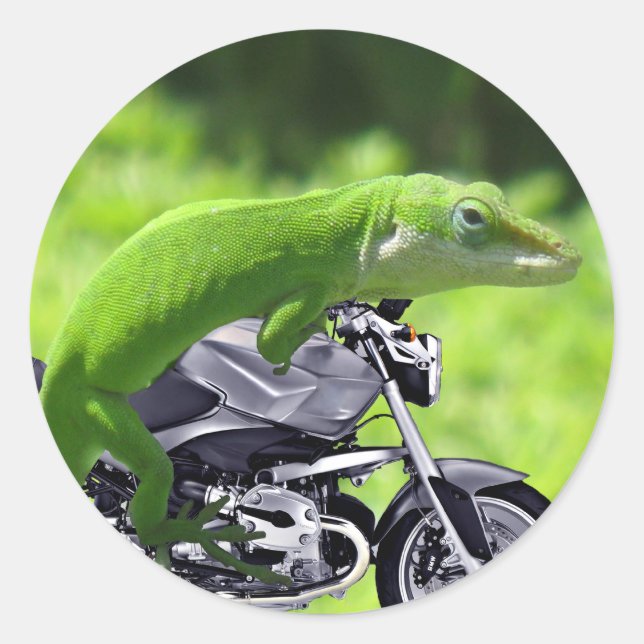 Sticker Rond Rider Hawaiian Gecko (Devant)