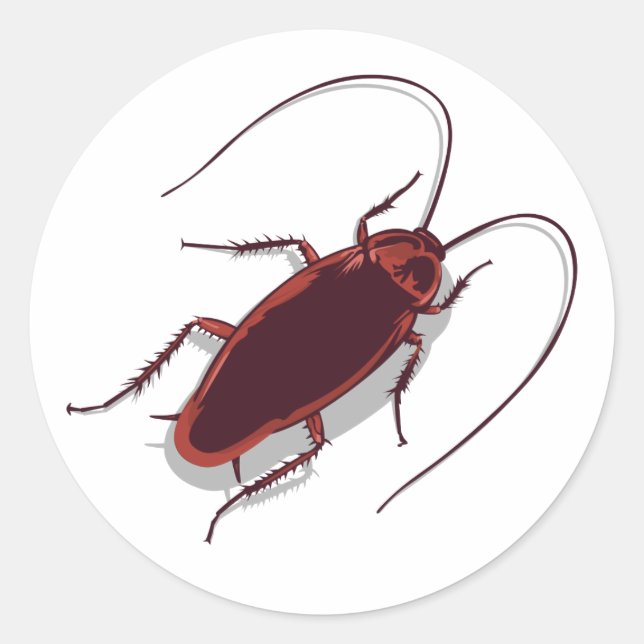 Sticker Rond Roach ! (Devant)