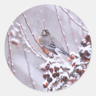 Sticker Rond Robin américain guerrier en hiver