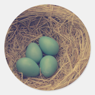 Sticker Rond Robin Nest et Oeufs