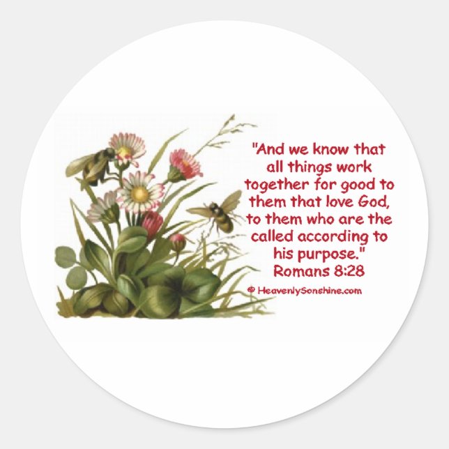 Sticker Rond Romains 8:28 Bee Motif (Devant)