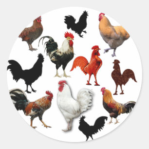 Sticker Rond Rooster Collage Vintage Rustic Chickens