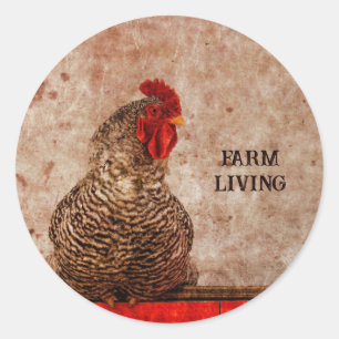 Sticker Rond Rooster Vintage Antique Brown Texture
