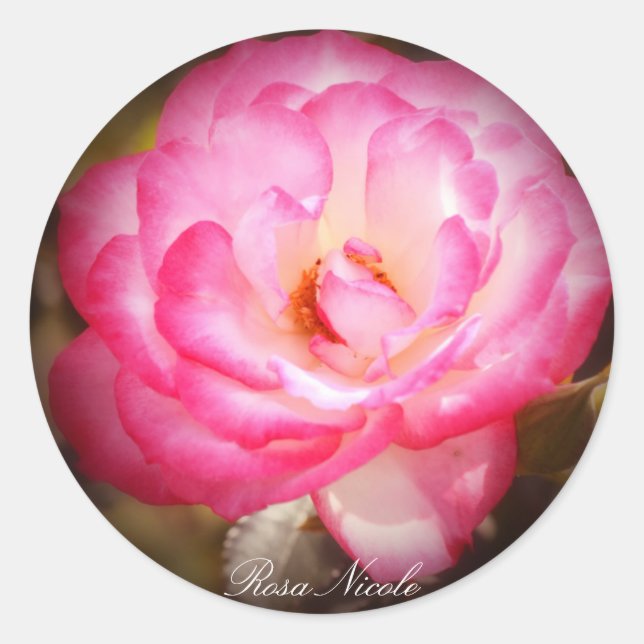 Sticker Rond Rosa Nicole (Devant)