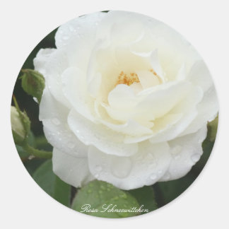 Sticker Rond Rosa Schneewittchen