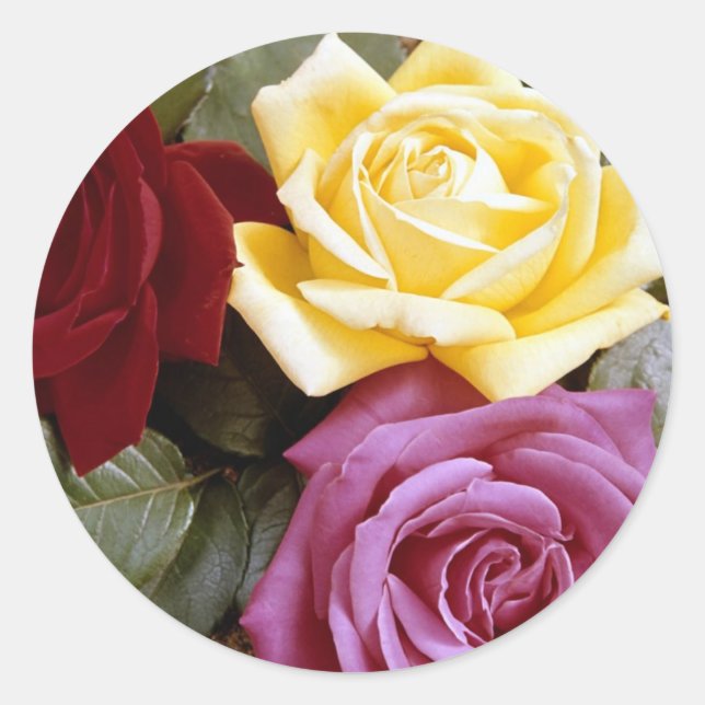 Sticker Rond Rose 289B (Devant)