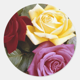 Sticker Rond Rose 289B