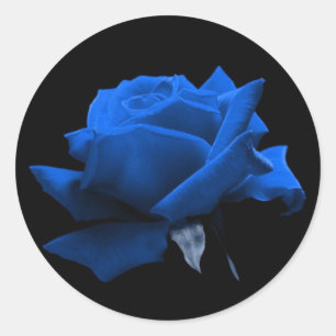 Sticker Rond Rose bleu