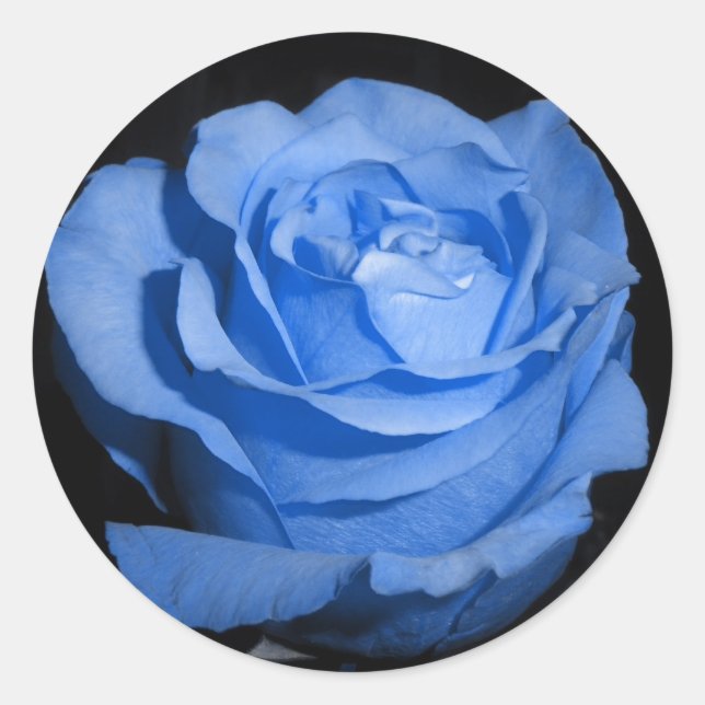 Sticker Rond Rose bleu unique (Devant)