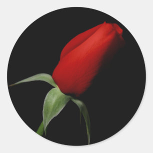 Sticker Rond Rose Bud Wedding RSVP Enveloppe Invitation Seals