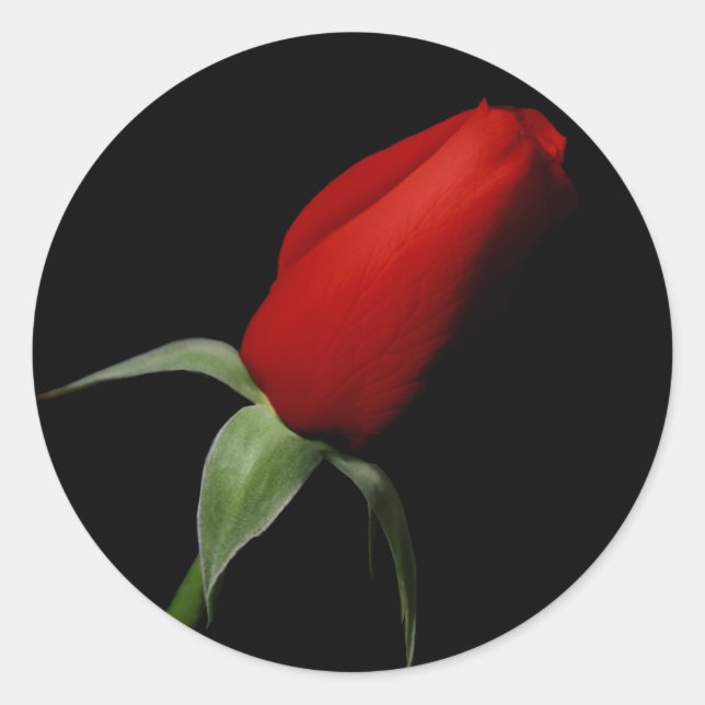 Sticker Rond Rose Bud Wedding RSVP Enveloppe Invitation Seals (Devant)