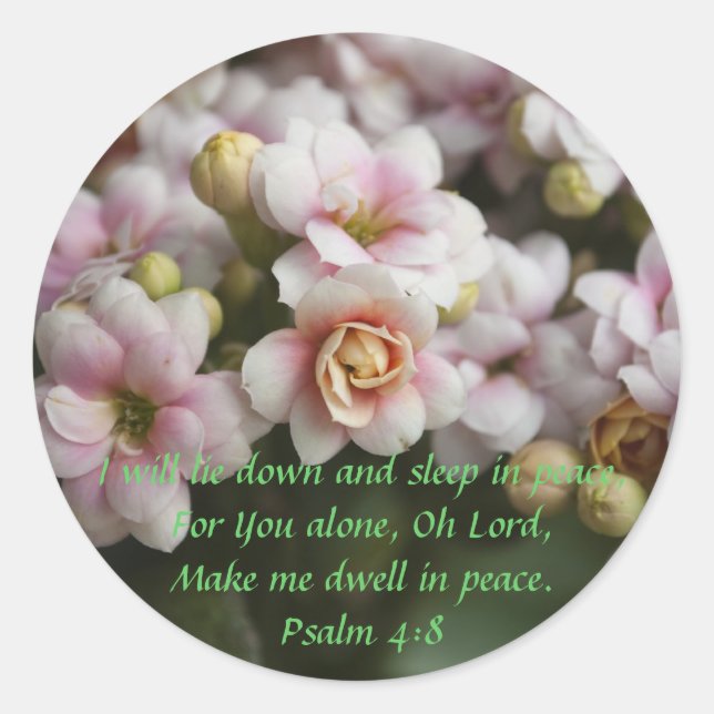 Sticker Rond Rose Cactus (Devant)