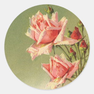 Sticker Rond Rose de jardin victorienne rose vintage de la Sain