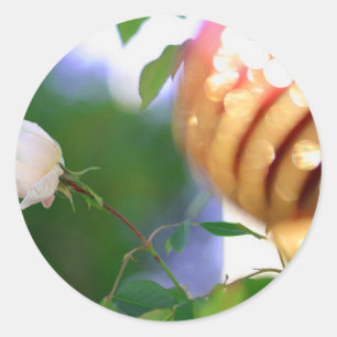 Sticker Rond Rose de Noël blanc