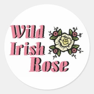 Sticker Rond Rose irlandais sauvage