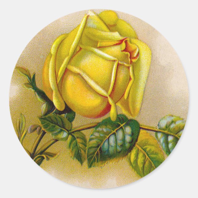 Sticker Rond Rose jaune Antique Vintage Imprimer Art (Devant)
