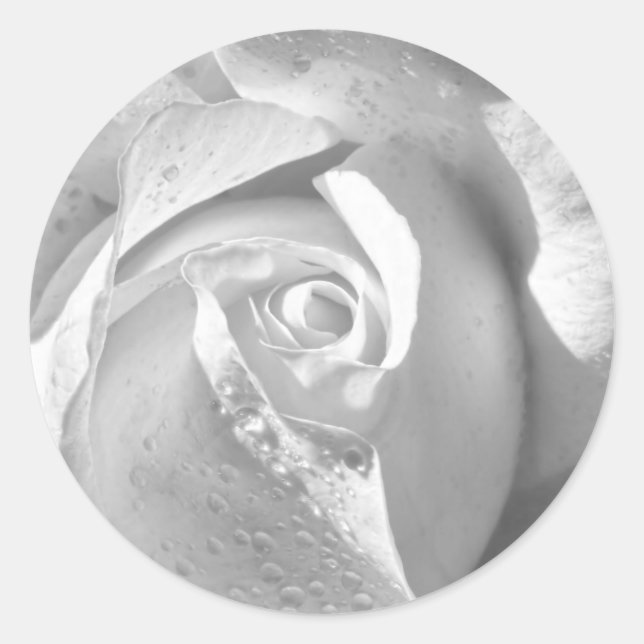 Sticker Rond Rose marié blanc romantique (Devant)