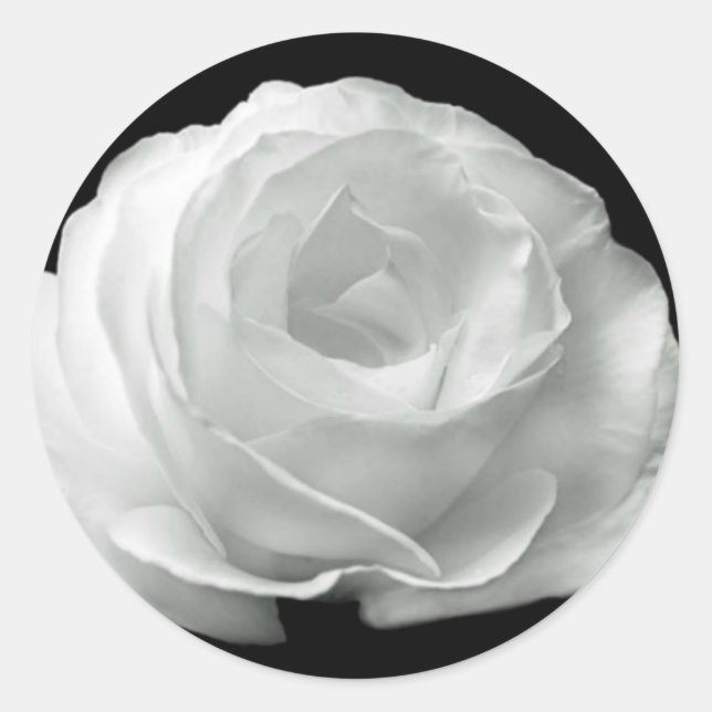 Sticker Rond Rose noire et blanche (Devant)