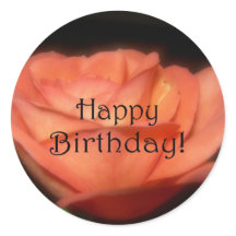 Rose orange
