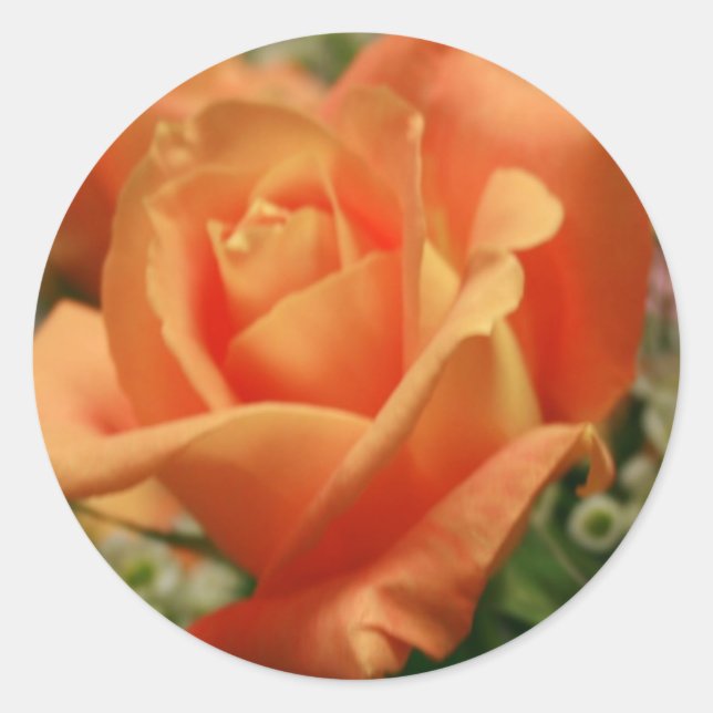 Sticker Rond Rose orange (Devant)