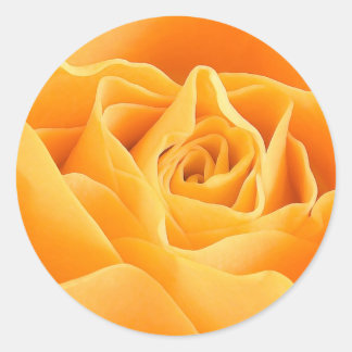 STICKER ROND ROSE ORANGE