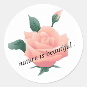 Sticker Rond Rose (Pêche) - Belle nature
