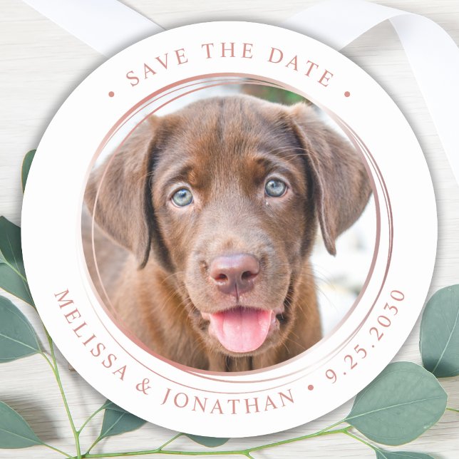 Sticker Rond Rose Photo Personnalisé Gold Wedding Enregistrer L (Créateur téléchargé)
