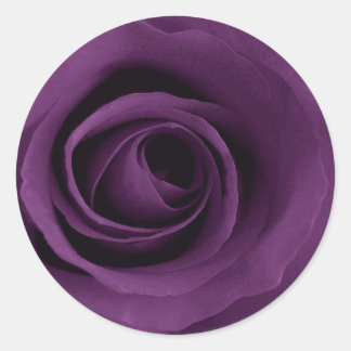 Sticker Rond Rose pourpre